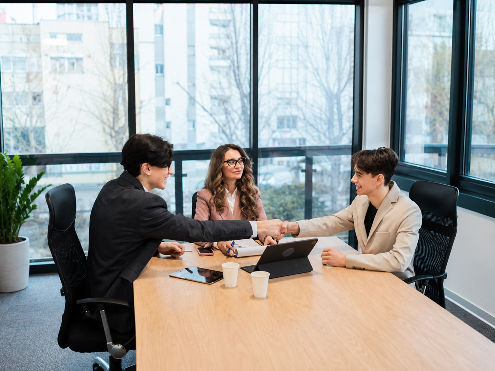 Employment & Sponsorship Matters